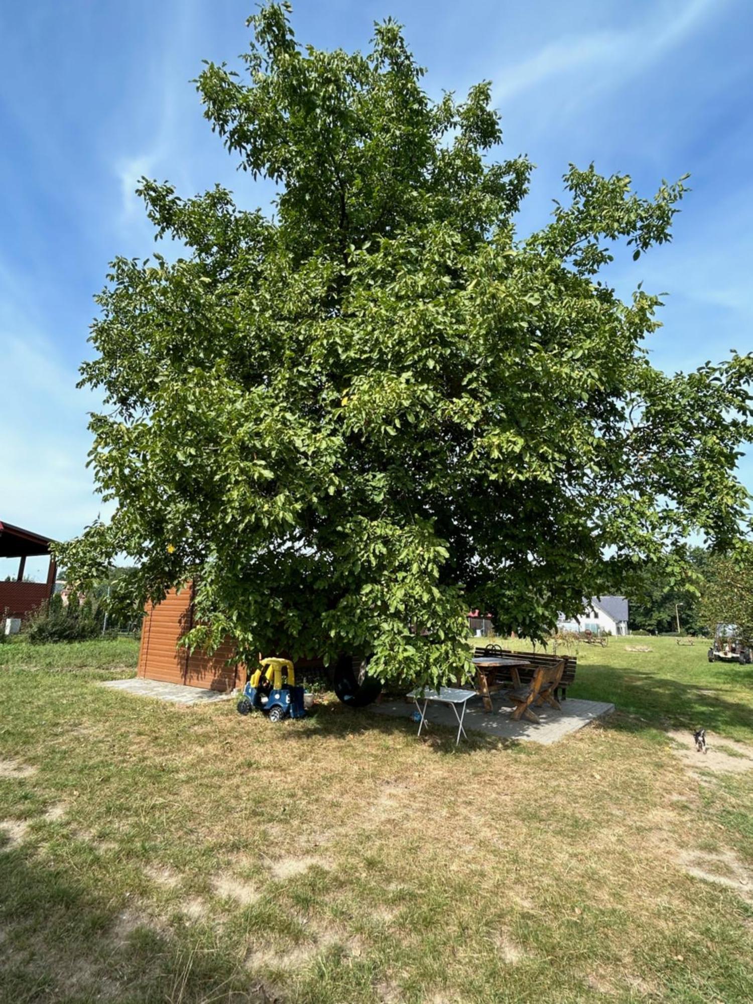 Agroturystyka U Krystyny Moryn Dış mekan fotoğraf